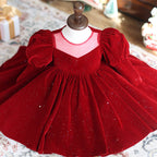 Wine Red Summer Long Sleeve Flower Girl Wedding Princess Skirt